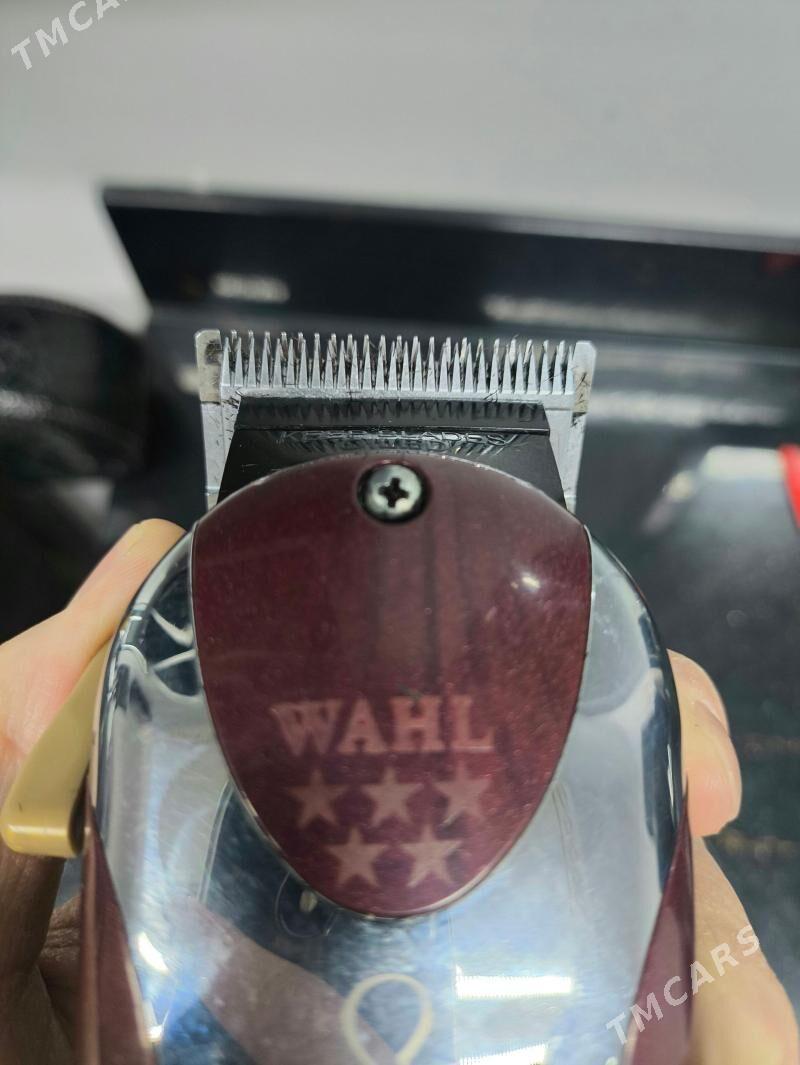 wahl - Daşoguz - img 1