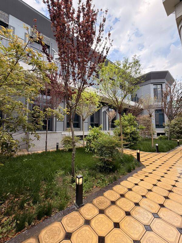 Anew Ahal koche 12 Sotuk kotej - Анев - img 1