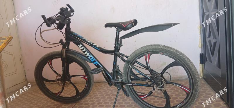 tigir - Gurbansoltan Eje - img 1