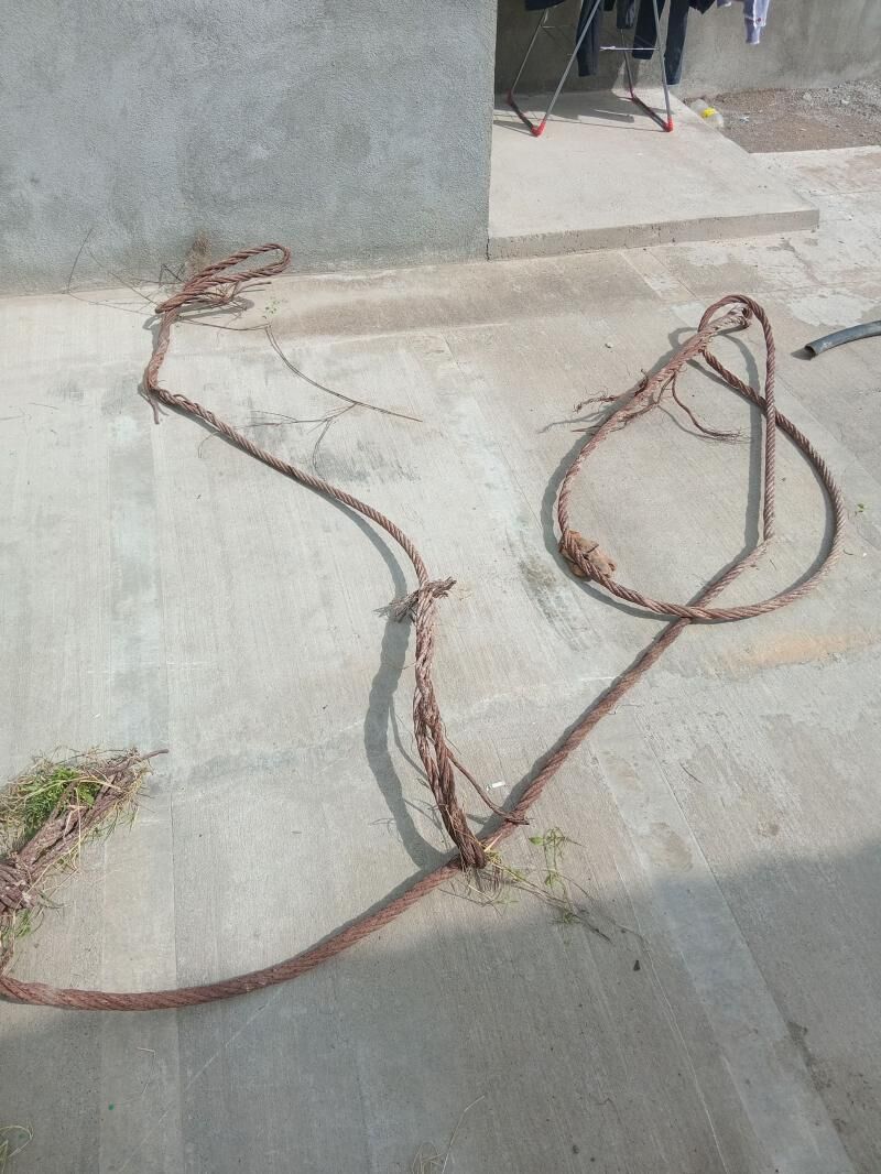 tros трос 150 TMT - Анев - img 1