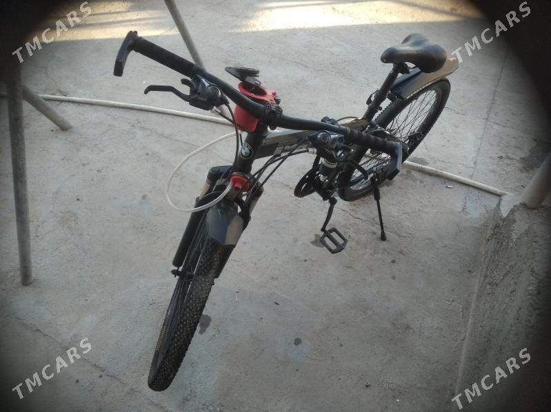 welik - Mary - img 1