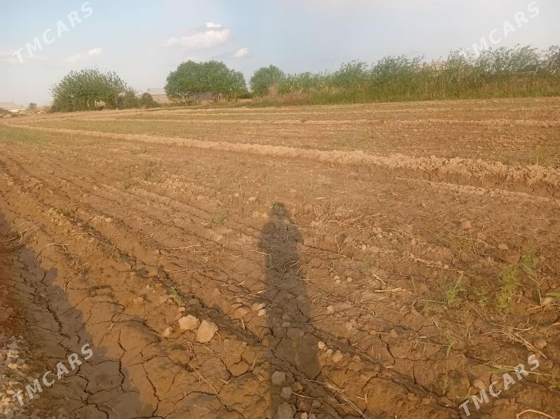 Satlyk mellek - Туркменгала - img 1