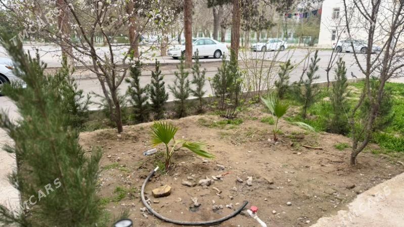 gaty srocna 30 mkrn 3kom jay - Ашхабад - img 1