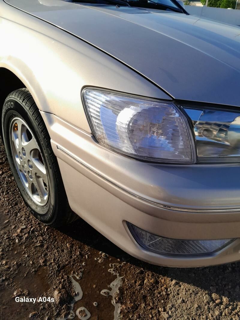 PAWAROTNIK KAMRY BABOCKA 150 TMT - Daşoguz - img 1