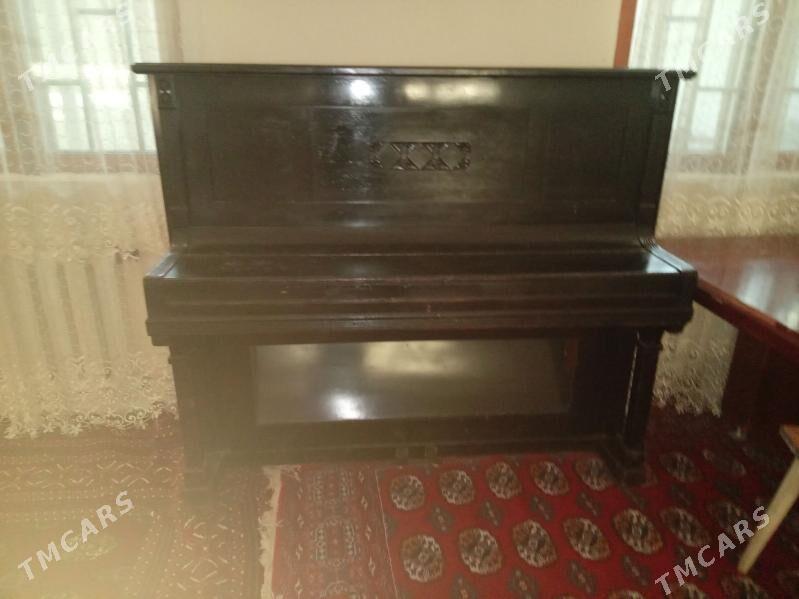 Piayino немецкий - Ашхабад - img 1