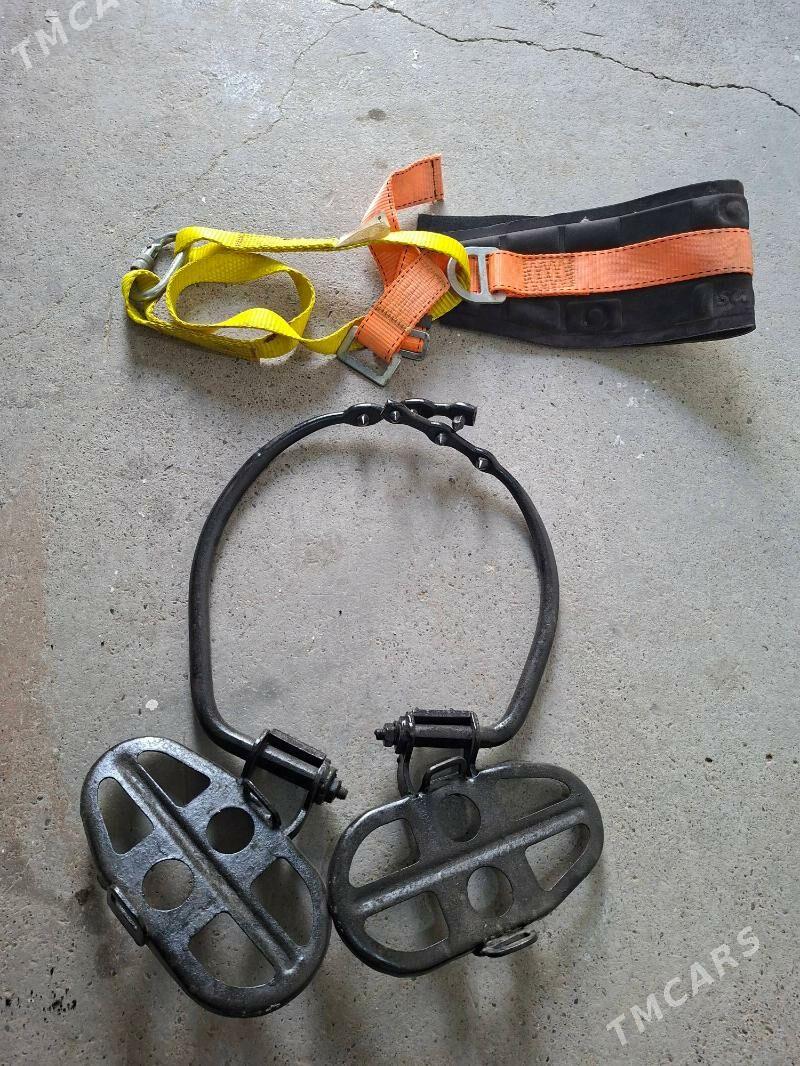 kogti - Ашхабад - img 1