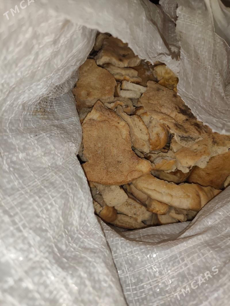 Satlyk gaty çörek - Aşgabat - img 1