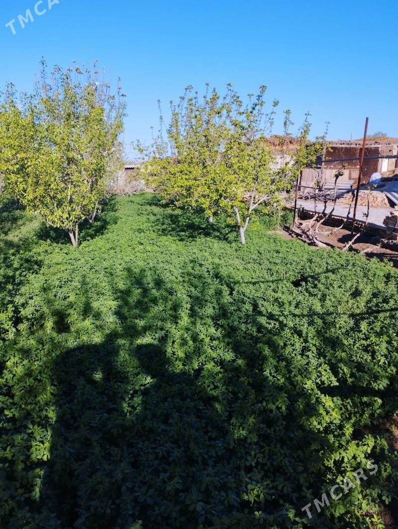 Yorunja[[[+Йорунжа - Шабатский этрап - img 1