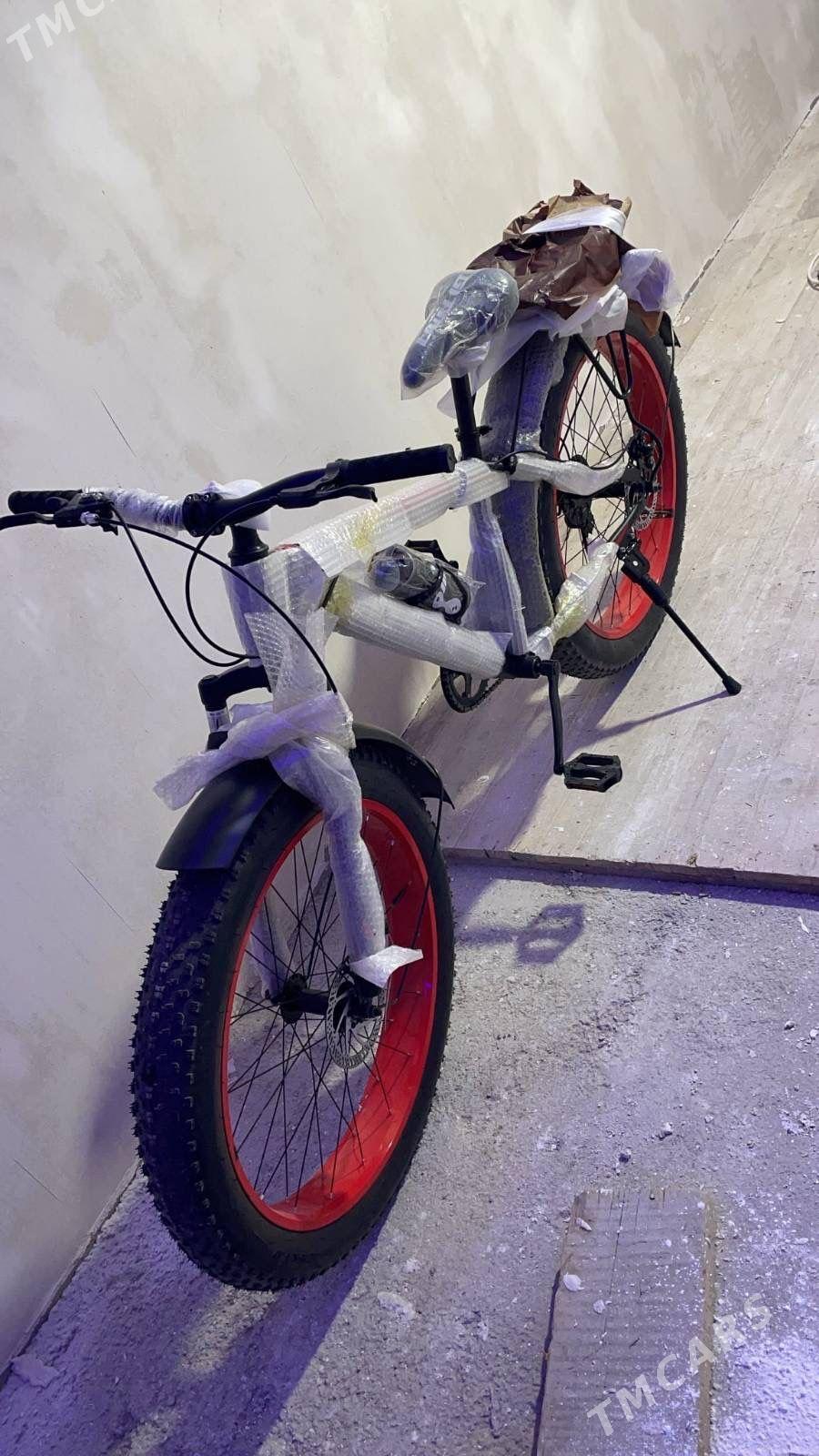 Welsapet - Mary - img 1