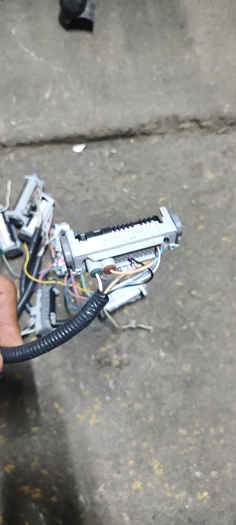 stekir fara 300 TMT - Ашхабад - img 1