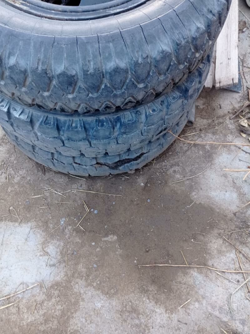 Gaz 1 300 TMT - Гёкдепе - img 1