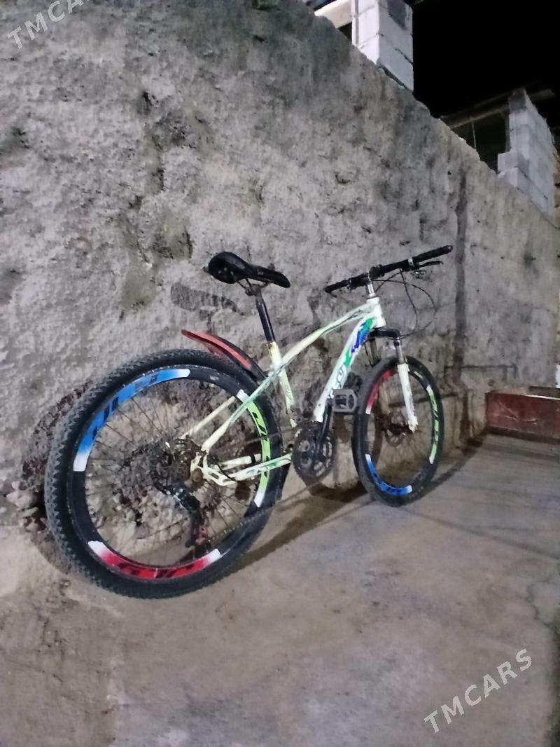 Tigir - Анев - img 1