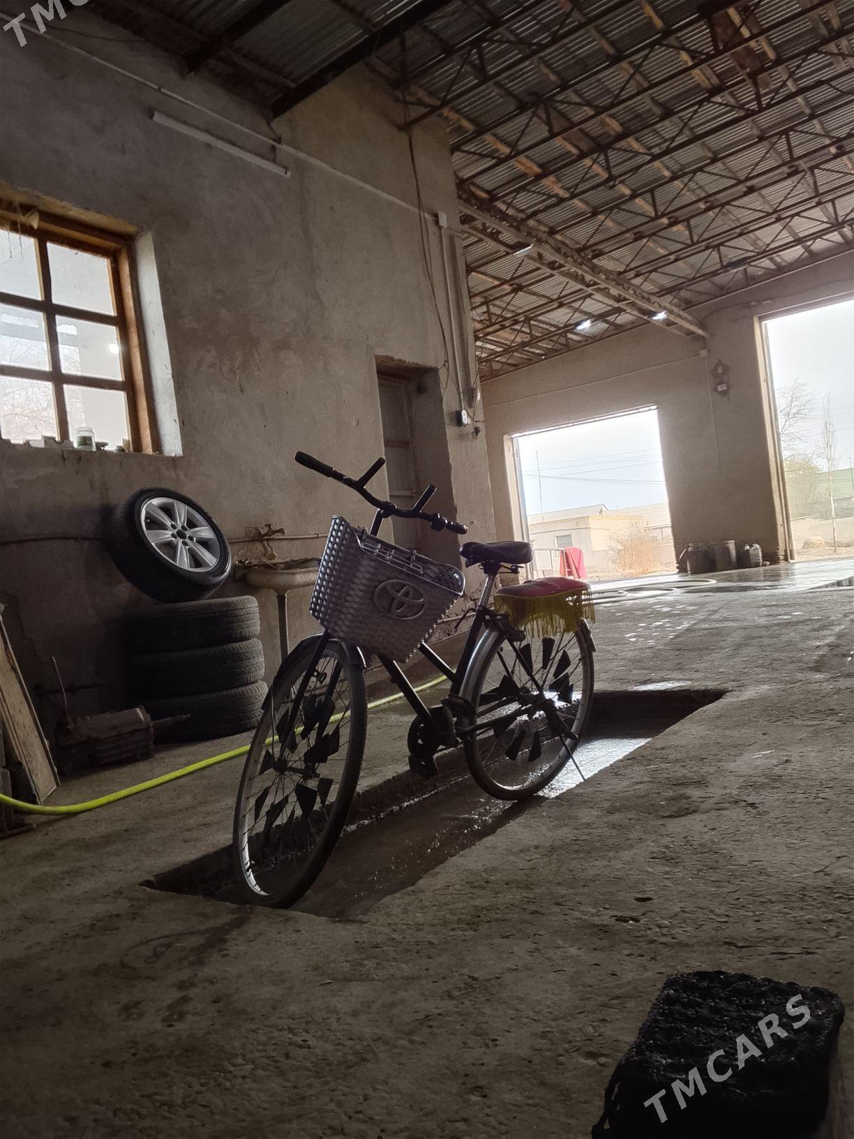 dubayski welik - Gurbansoltan Eje - img 1