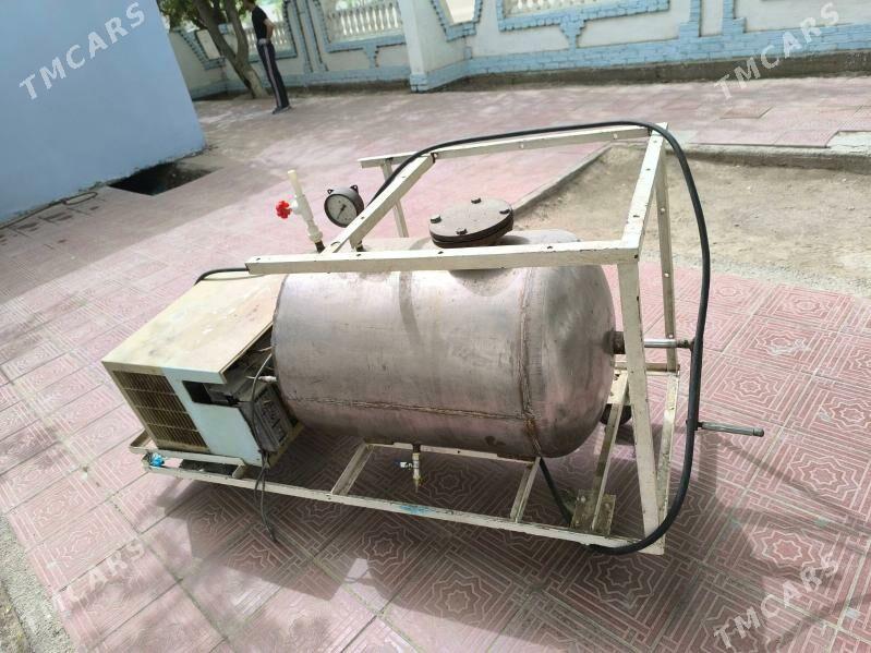 cal aparat - Mary - img 1