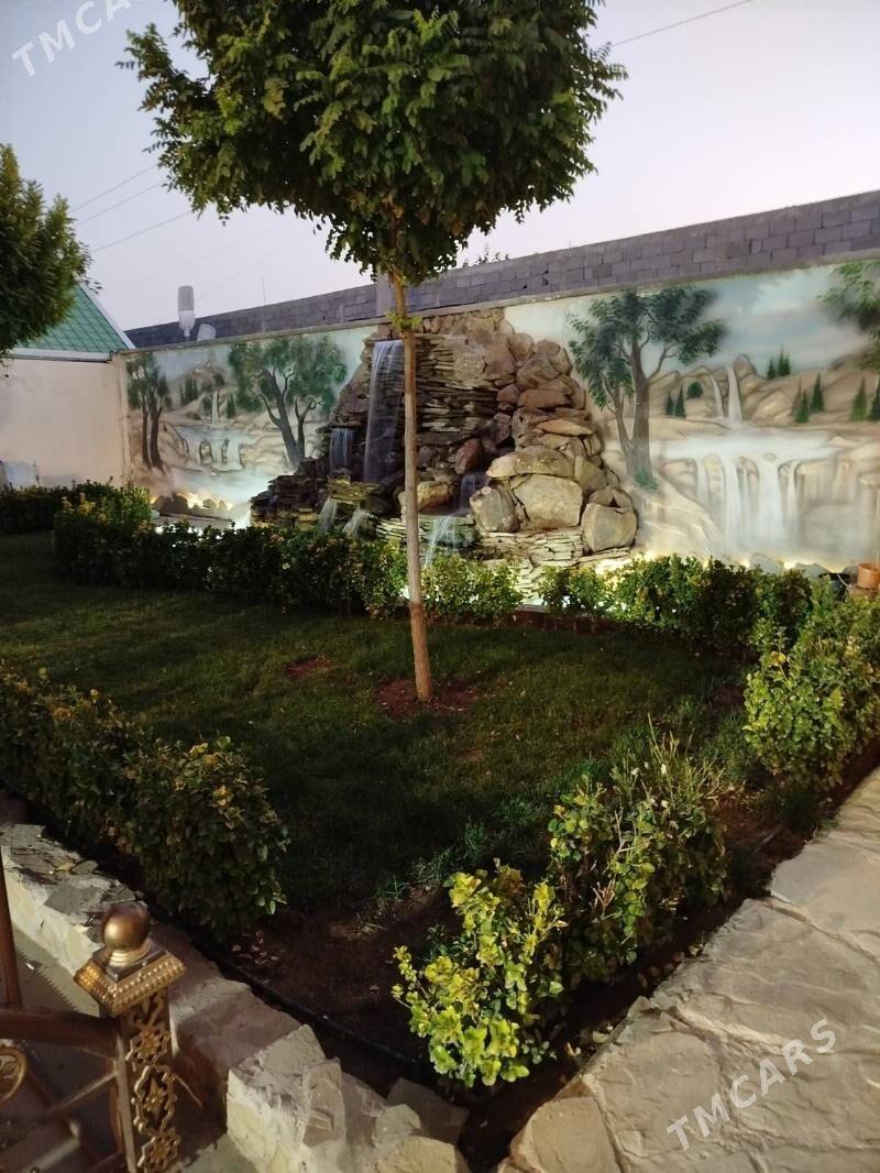 Coganly katež cep tarap - Чоганлы - img 1