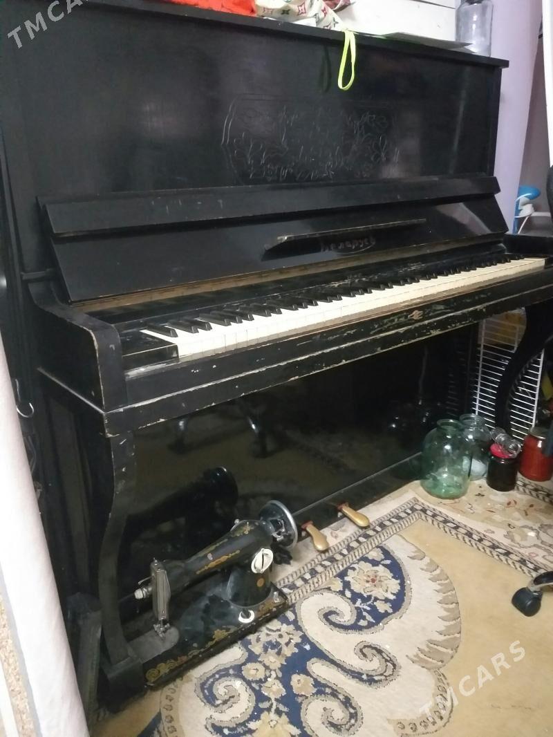 pianino fortopiano фортопиано - Кëши - img 1