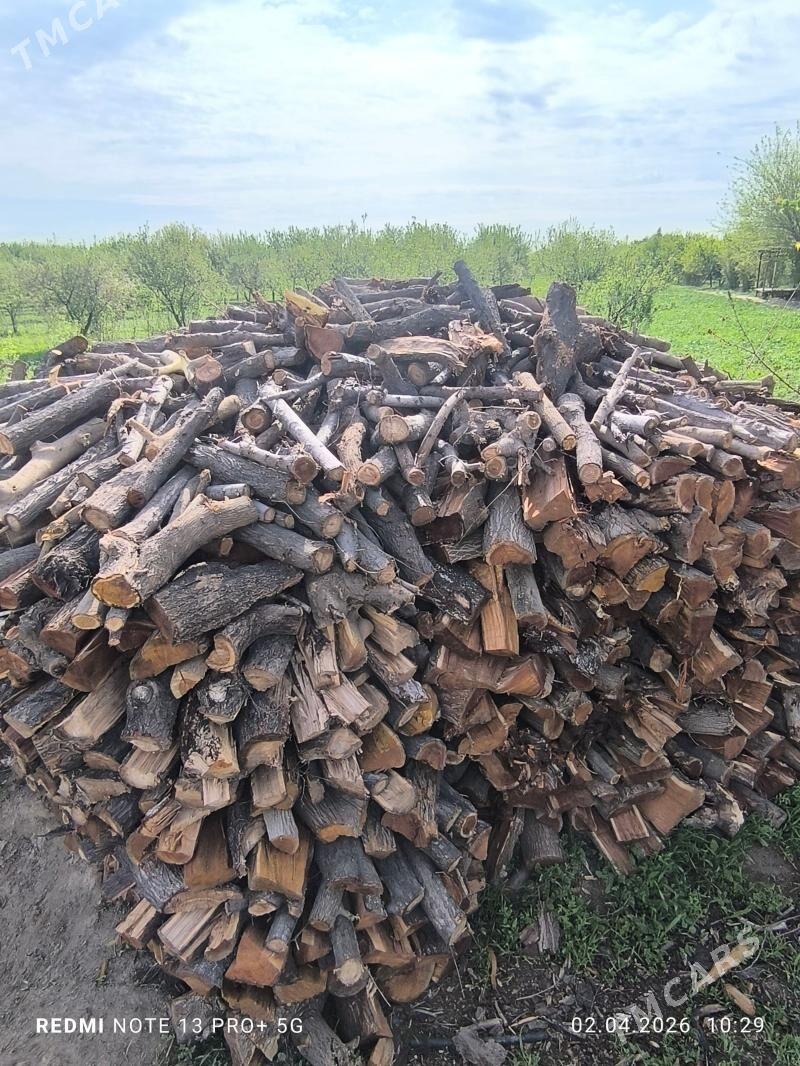 odun tonne - Ýaşlyk - img 1