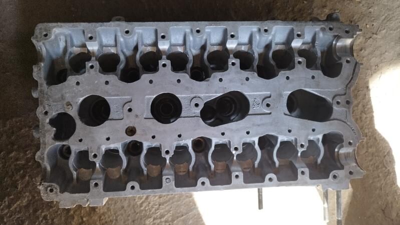 golowka 800 TMT - Mary - img 1