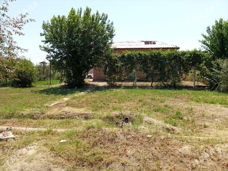 Daca Karamyansk - Туркменабат - img 1