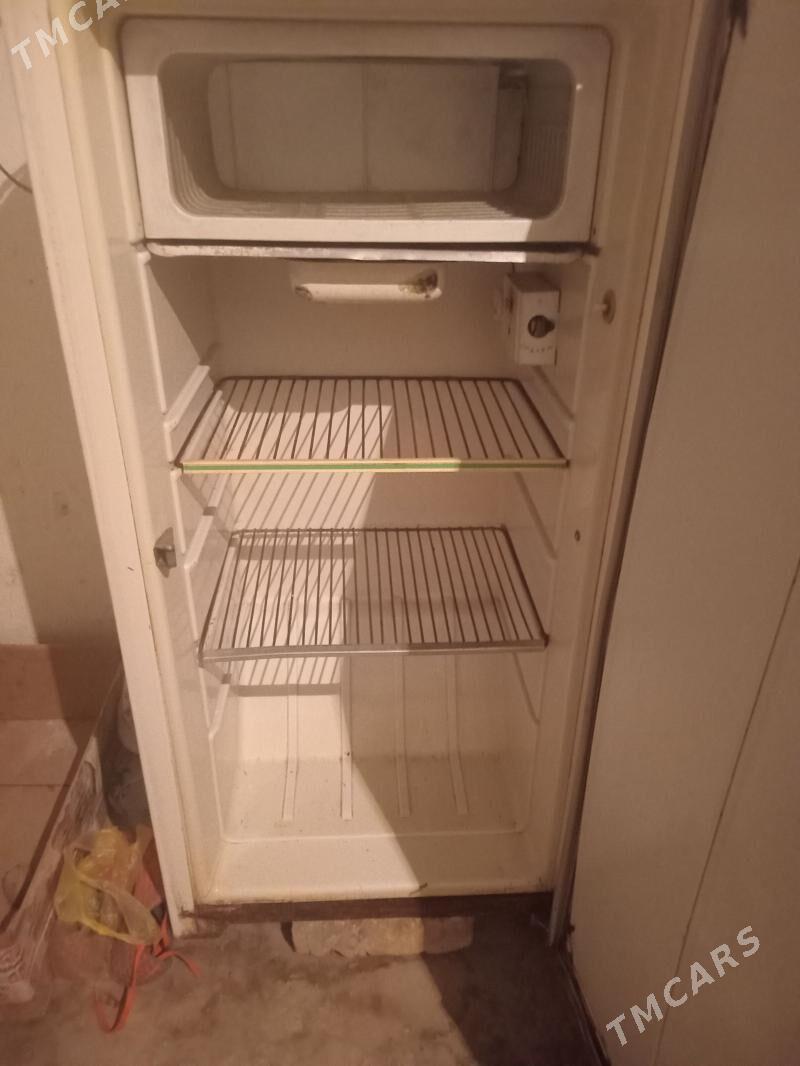 Birusa - Daşoguz - img 1