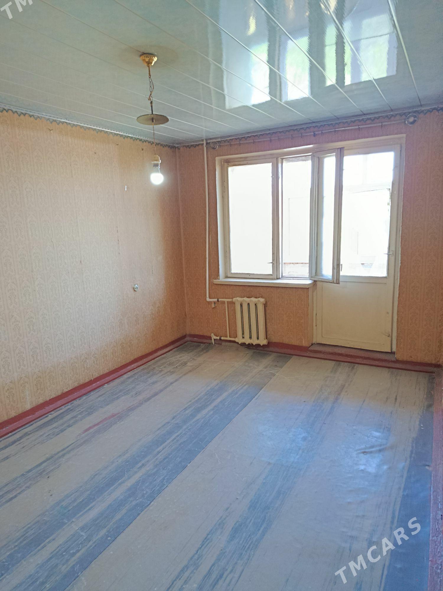 Satlyk jay - Mary - img 1