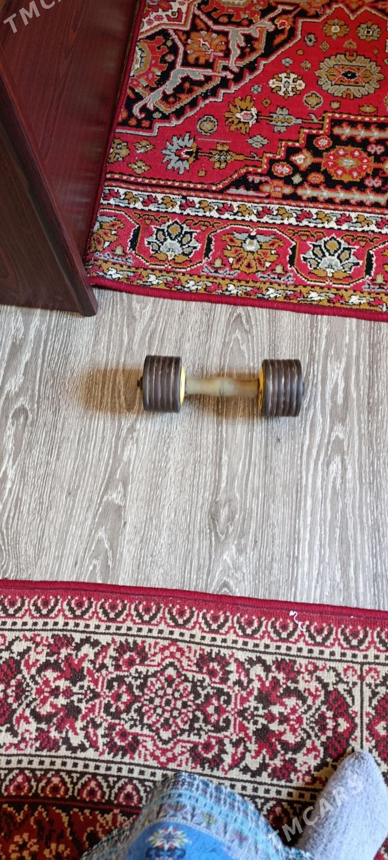 Гантели. - Mary - img 1