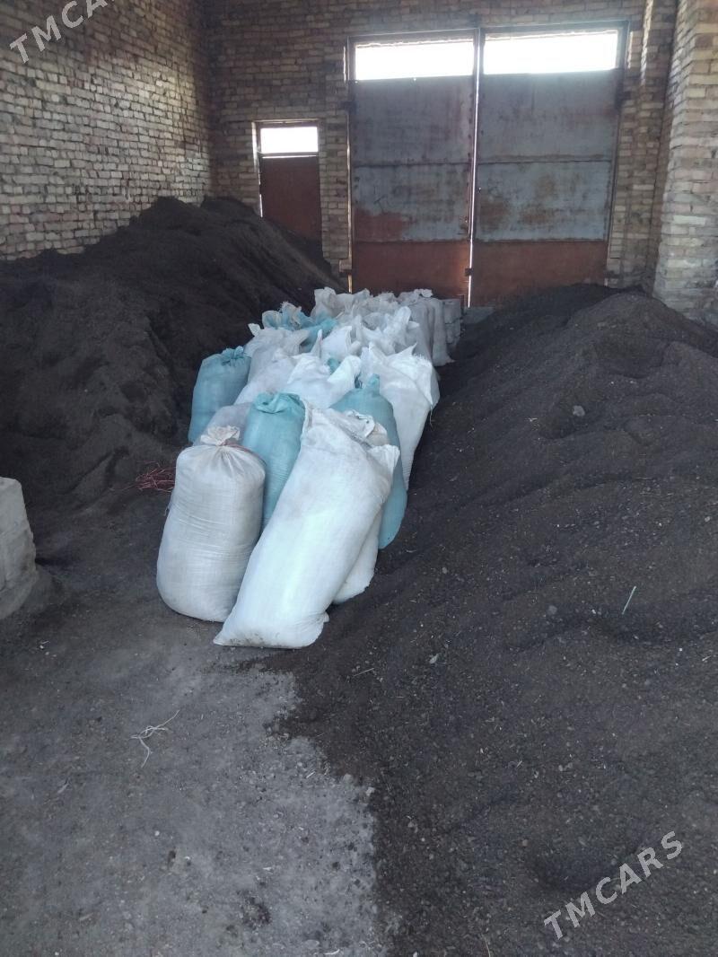 elenen ders - Чарджоу - img 1