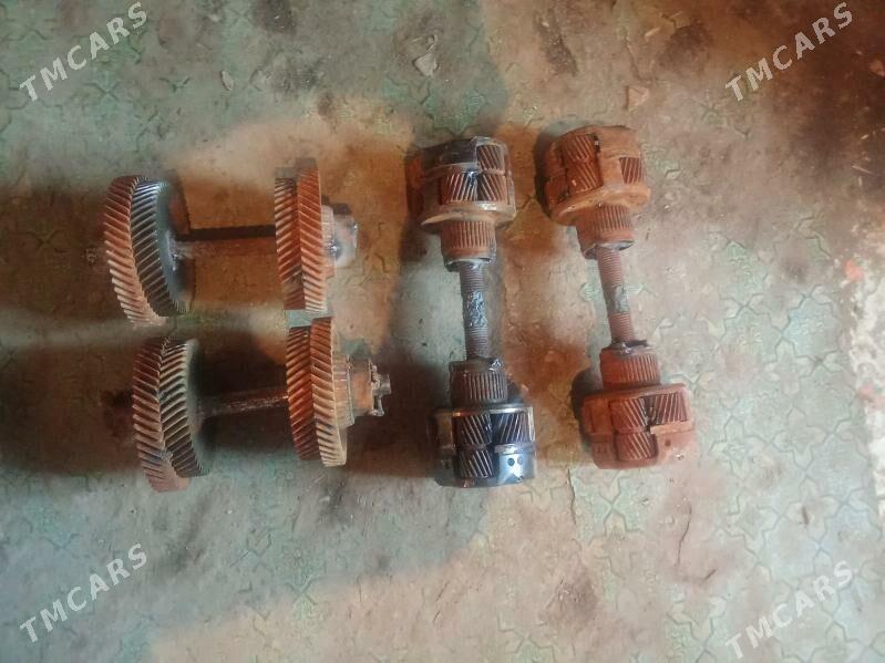 gantel - Mary - img 1