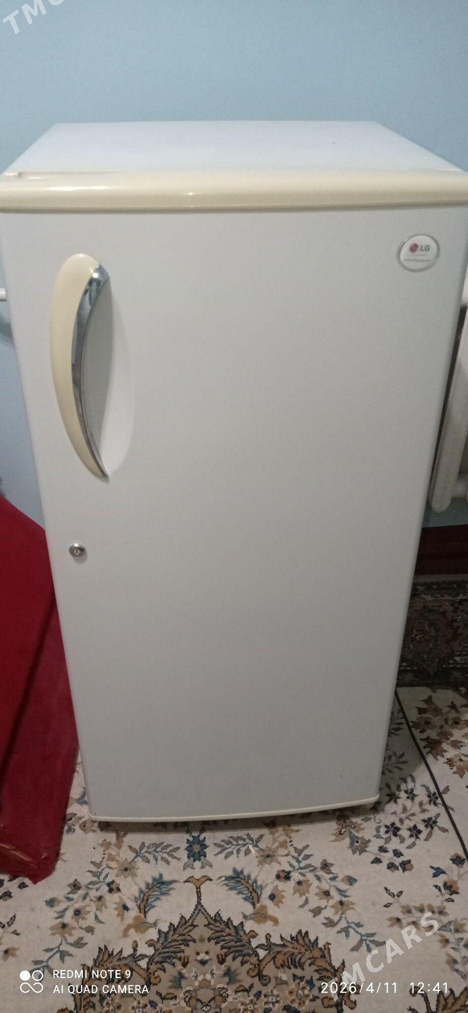 Haladilnik - Gurbansoltan Eje - img 1