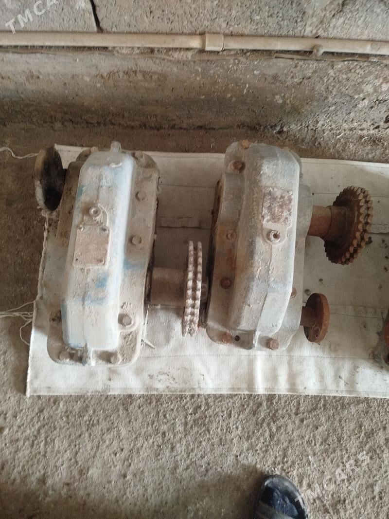 Ридцктир - Дашогуз - img 1