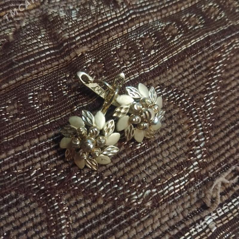 Syrga - Daşoguz - img 1