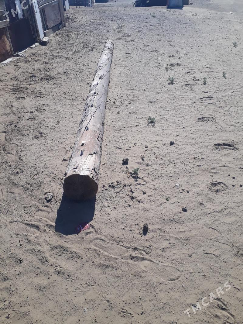 Agac - Balkanabat - img 1