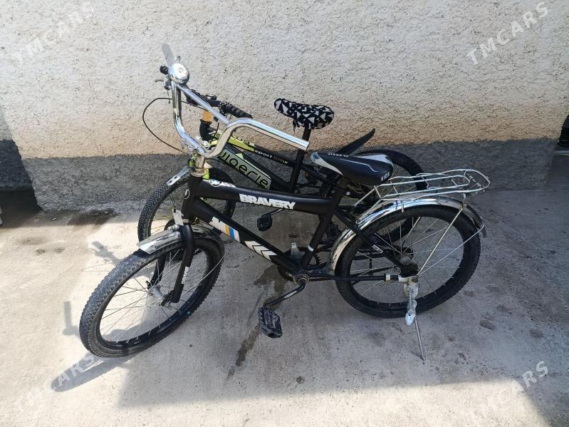 Tigir - Bekrewe - img 1