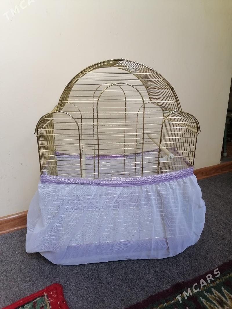 клетка - Aşgabat - img 1