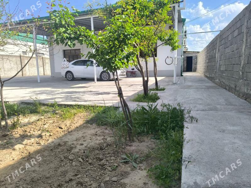 gämi jay - Aşgabat - img 1