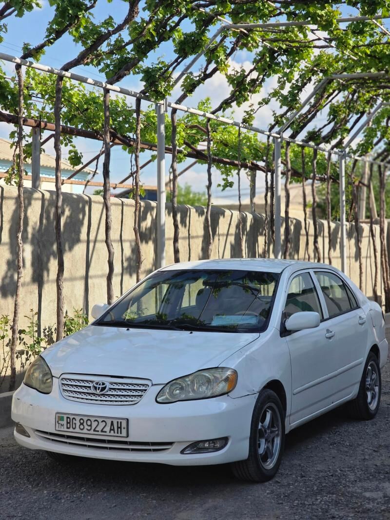 Toyota Corolla 2006 - 125 000 TMT - Ak bugdaý etraby - img 1