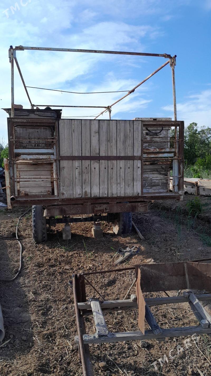 Ary teleşge - Теджен - img 1