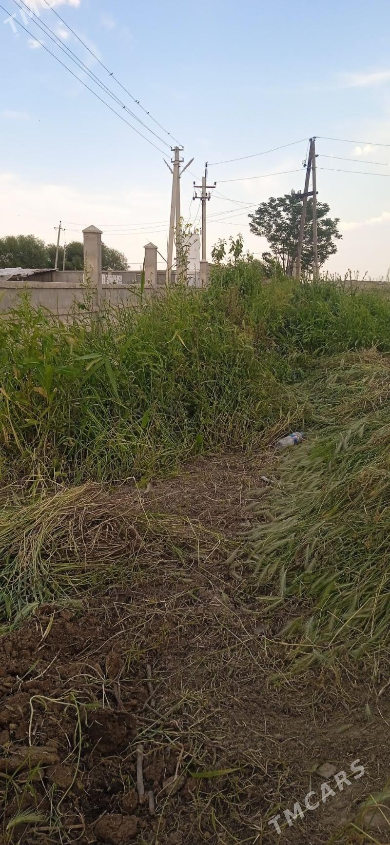 bede ot yorunja - Гёкдепе - img 1