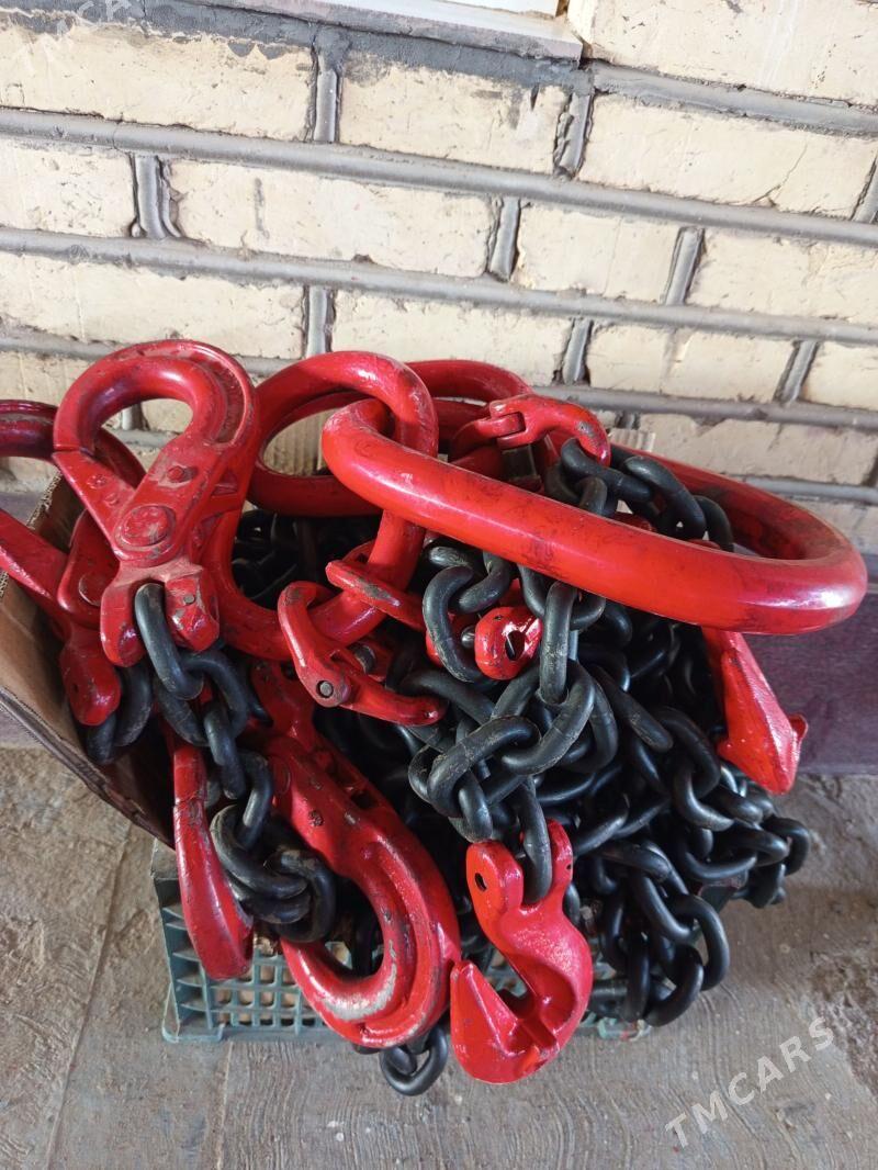 zynjyr - Mary - img 1