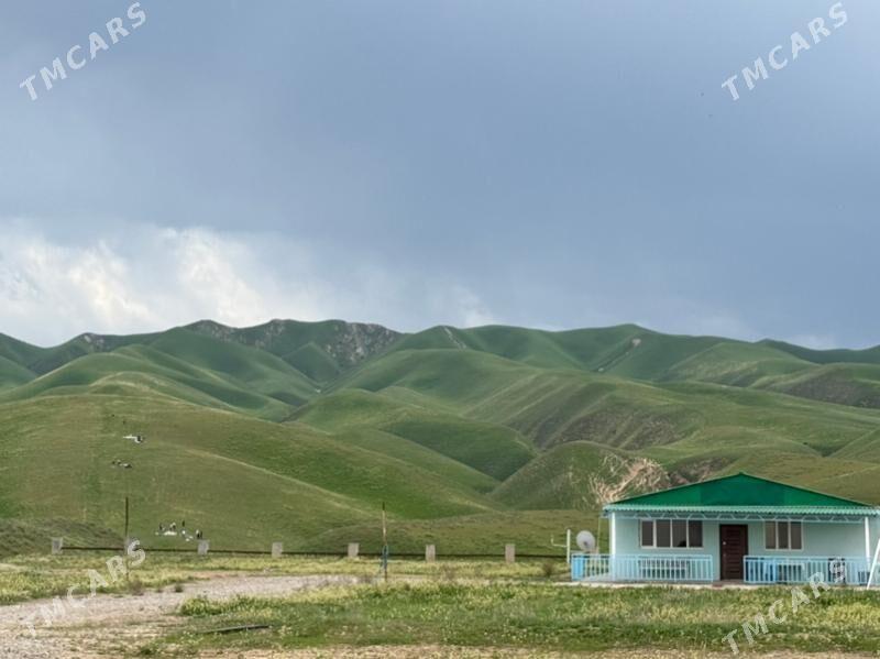 Anew Magtymguly - Ak bugdaý etraby - img 1