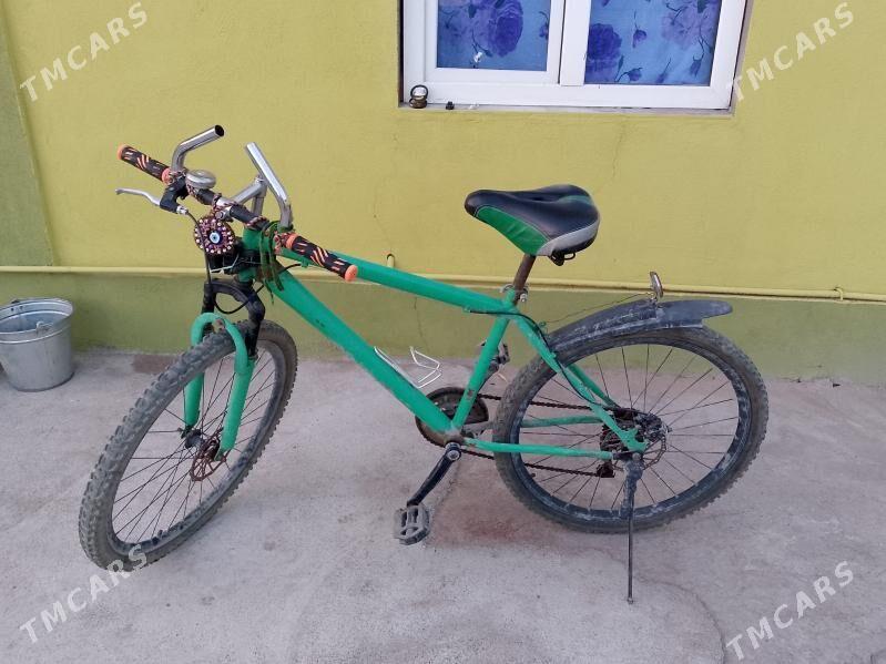 Tigir - Garadamak Şor - img 1