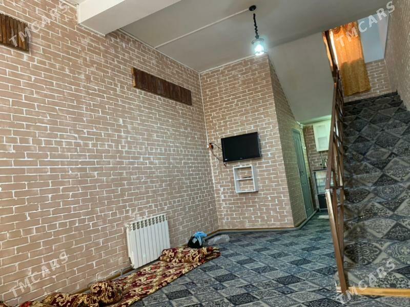 Arenda Howly kateş - Mary - img 1