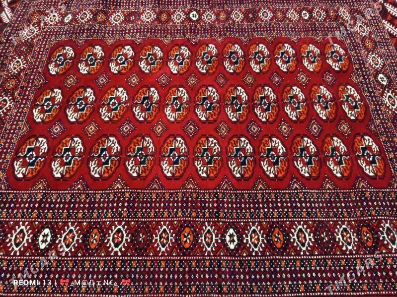 el haly - Ашхабад - img 1