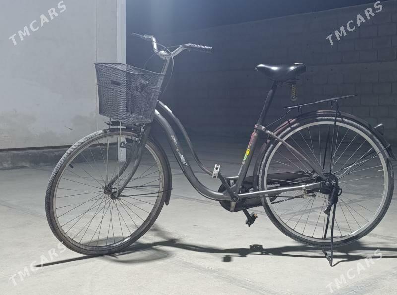 Tigir - Kaka - img 1