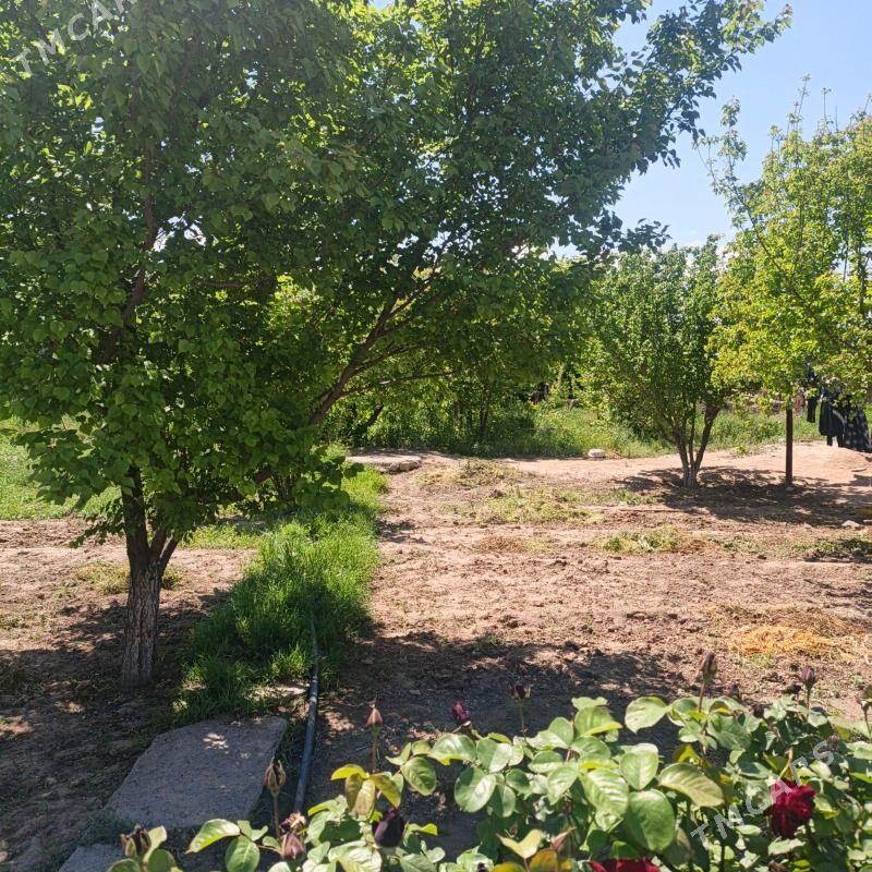 Boş mellek - Кипджак - img 1