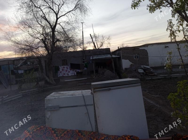 халаделник - Дашогуз - img 1