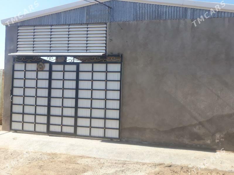 satlyk Jaysatlyk jay - Murgap - img 1