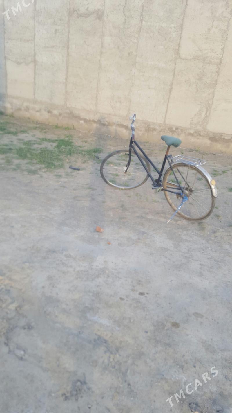 tigir - Бахарден - img 1