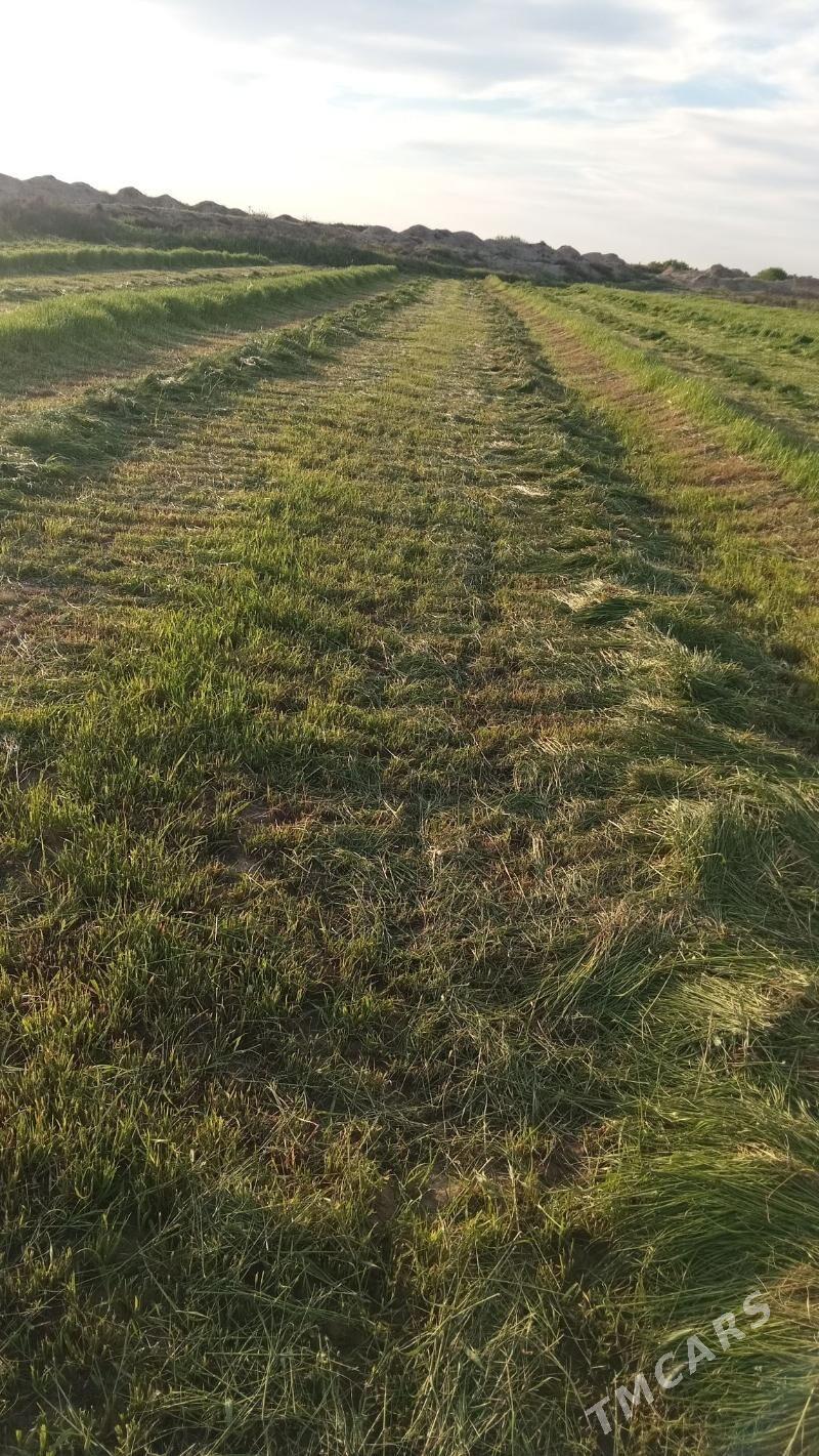 Mal oty - Oguz han - img 1