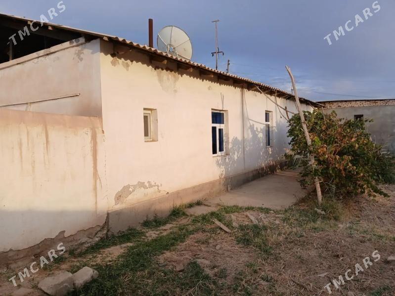 Plan Jaý - Гороглы (Тагта) - img 1